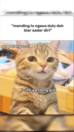 NO MIROR