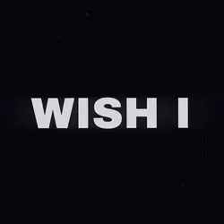Wish I Knew 