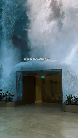 Singapore Edition 🇸🇬