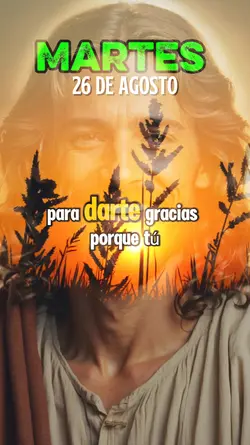 26 de agosto 