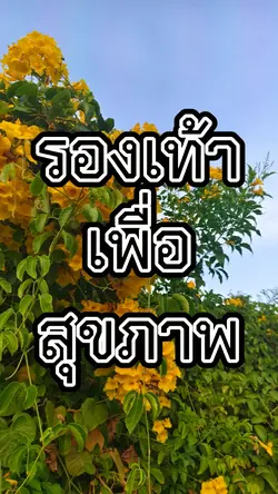 รีวิวสินค้า