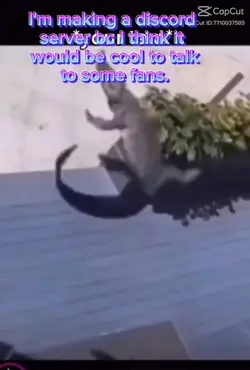 Discord Server