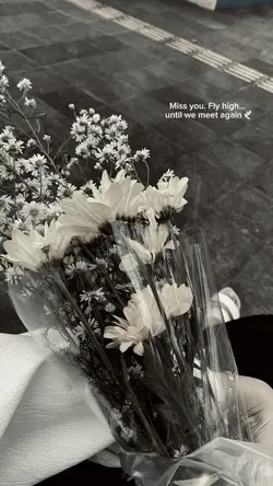 UNTIL WE MEET AGAIN