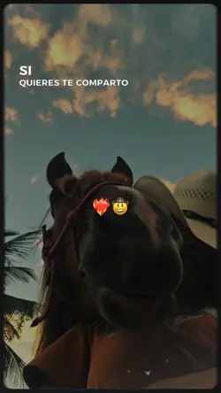 ❤️‍🔥🥺