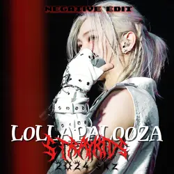 Lollapalooza skz