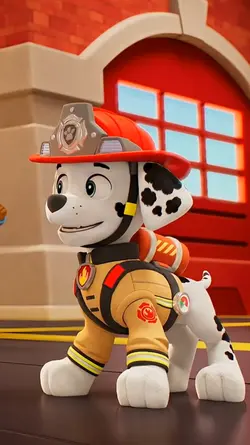 PAW PATROL 2