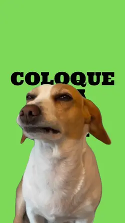 MEME