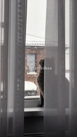 winter vibes 