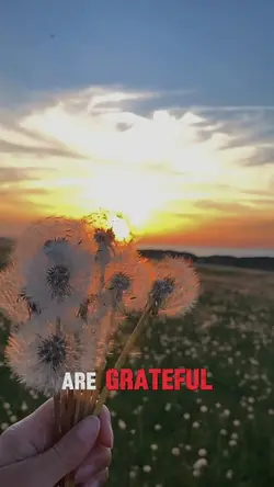 Being grateful