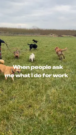 What I do for work