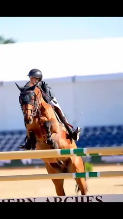 Show Jumping 