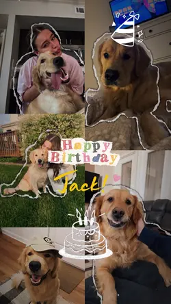 happy birthday pet