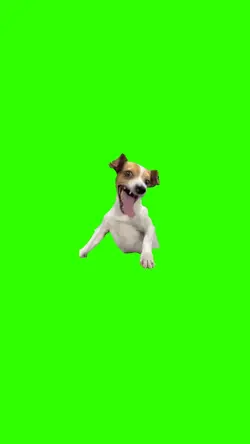 Chien qui rit