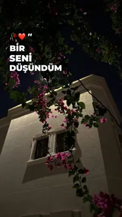 Bir seni düşündüm..