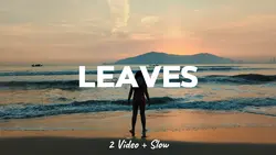 Leaves | 2 Video