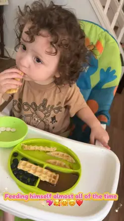 Baby Led Weaning
