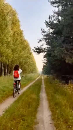 Travel 118