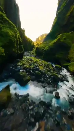 Nature template 