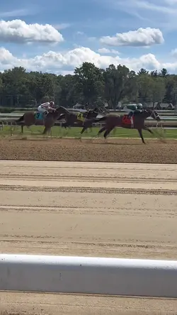 HORSEY RACE