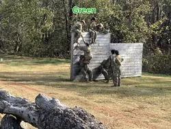 Camera rol