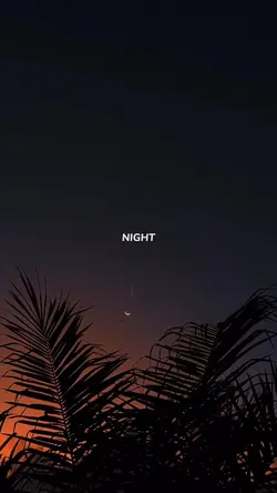 Summer vibe 
