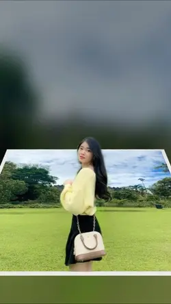Pop Up Album 