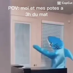 Requin 