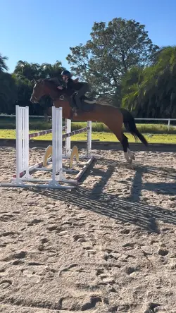 perfect pony 😍💗