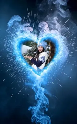 Blue Rose Transforma
