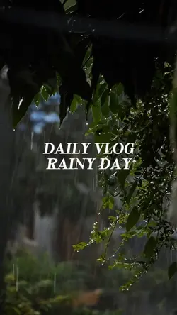 Rainy day