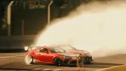 Profesional rally
