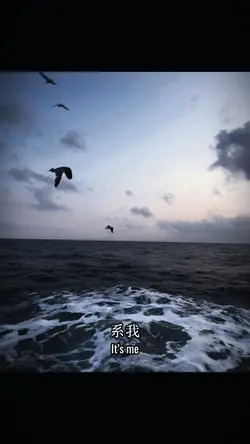 半点心