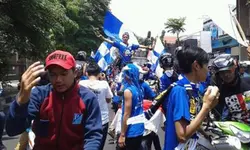 VIKING PERSIB