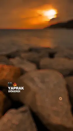 Şablon keşfette 