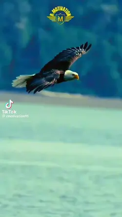 Motivation vidéo 