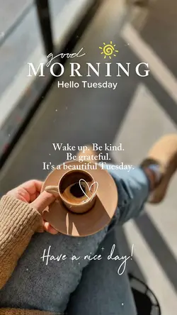 Hello Tuesday 🤍