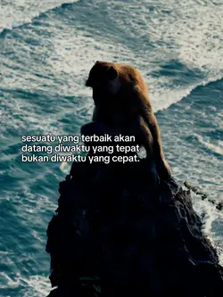 STORY KATA