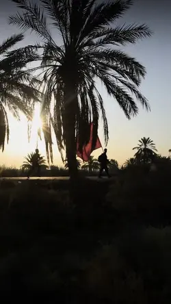 الحسين قضية العالم