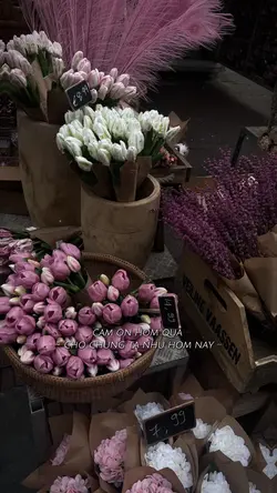 cảm ơn hôm qua