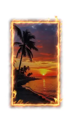 Aesthetic orange 🧡
