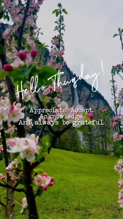 Hello Thursday