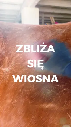 Wiosna idzie