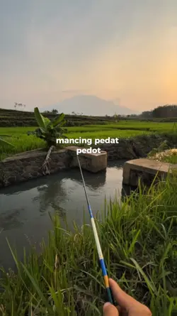 Jajal mancing lur