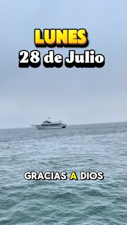 Lunes 28 de Julio 