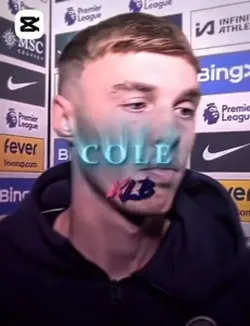 Palmer free edit