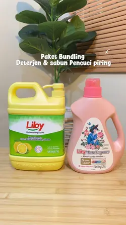 Review deterjen 