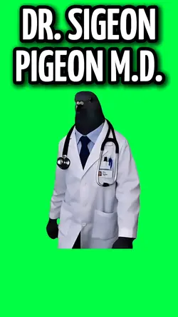 DR SIGEON PIGEON MD