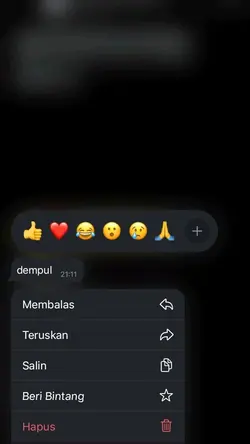 DEMPUL