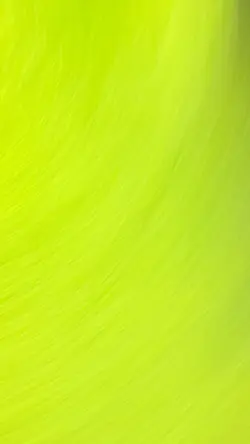 Kun faya kun 