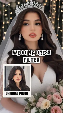 Wedding dress filter